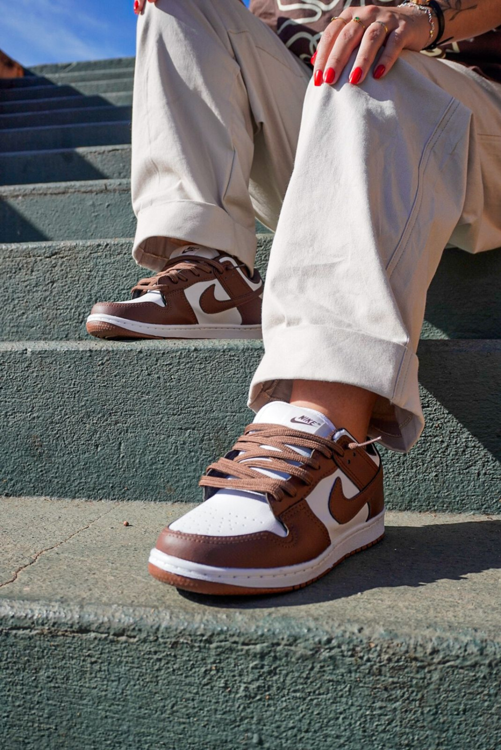 Nike Dunk Low Pro SB Marrom