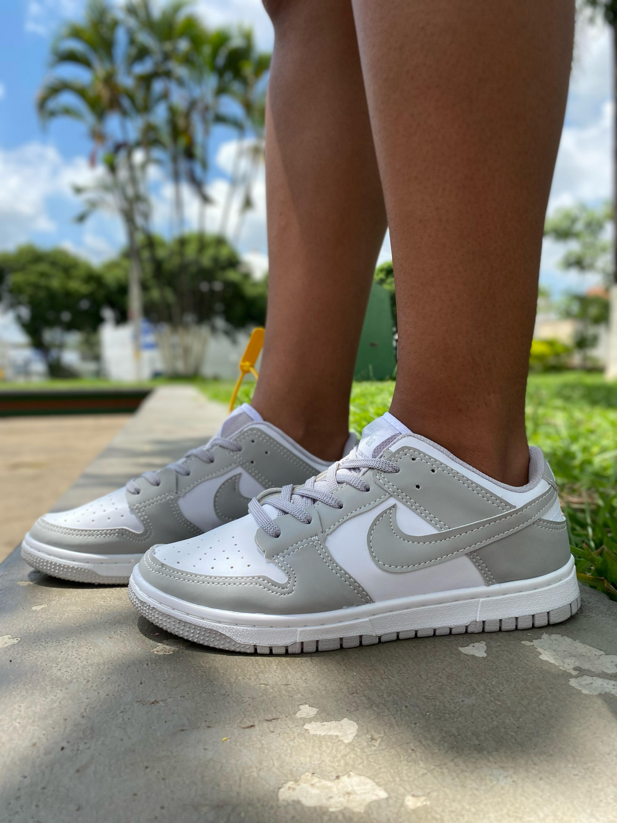 Nike Dunk Low Pro SB Cinza/branco