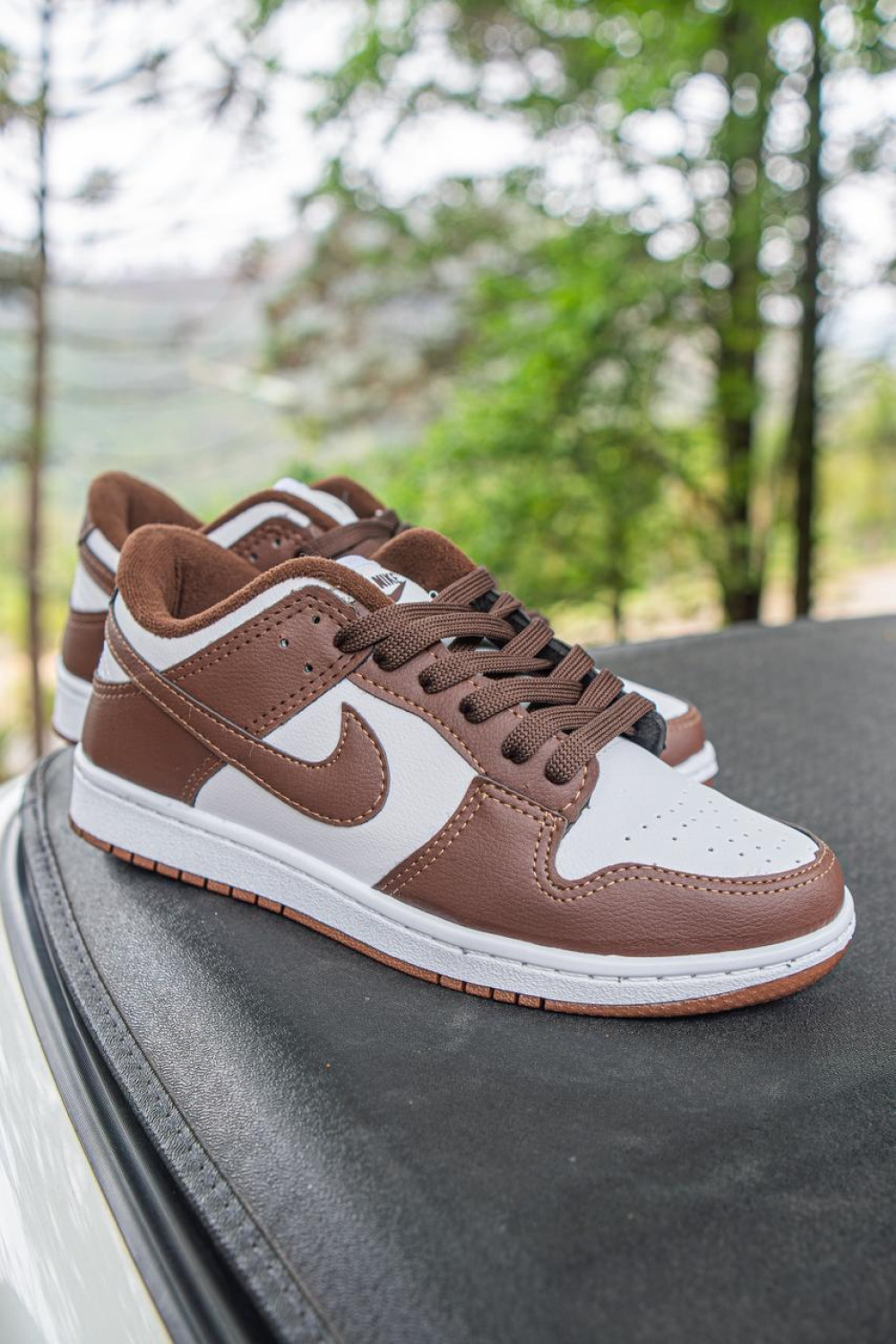Nike Dunk Low Pro SB Marrom