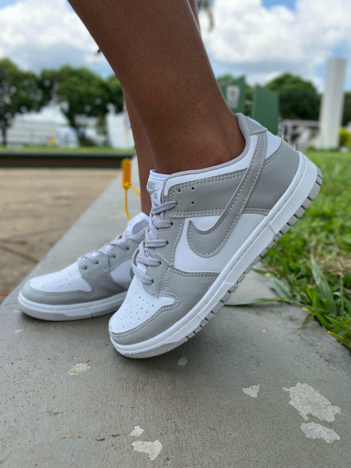 Nike Dunk Low Pro SB Cinza/branco